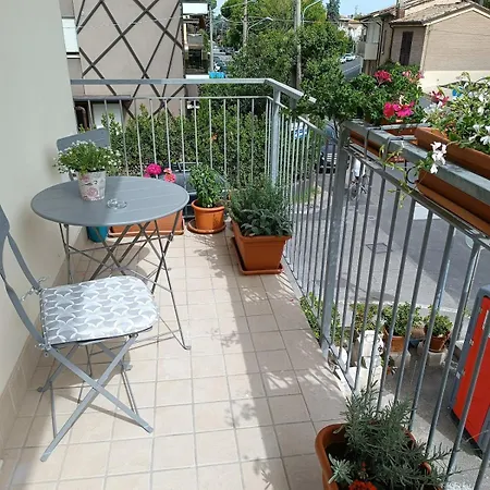 Palacongressi Center Appartamento